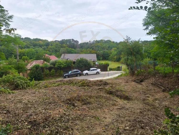 Teren intravilan Mosoaia - Hintesti - 4