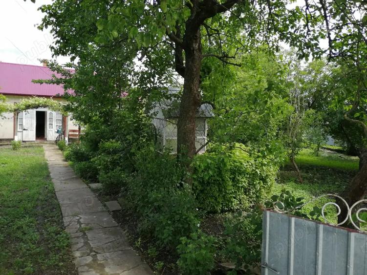 Casa batraneasca cu anexe si teren Loturi Enescu Dorohoi - 7