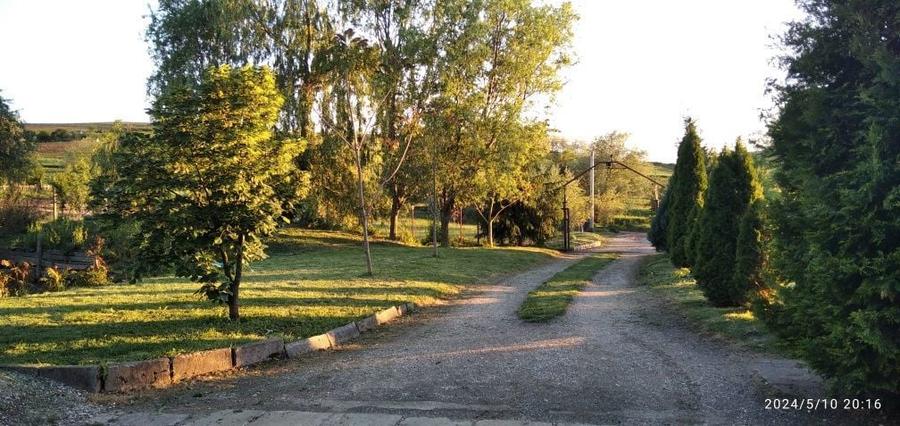 Vand casa cu 4,80 ha in Viisoara - 5