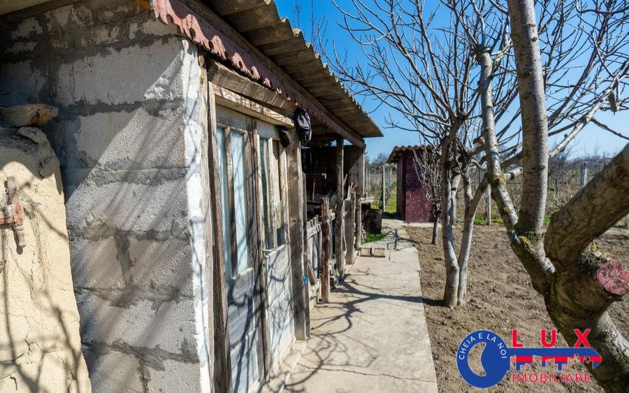 ID 6675 EXCLUSIVITATE - Teren cu casa in Sat Lunca- DELTA DUNARII - 19