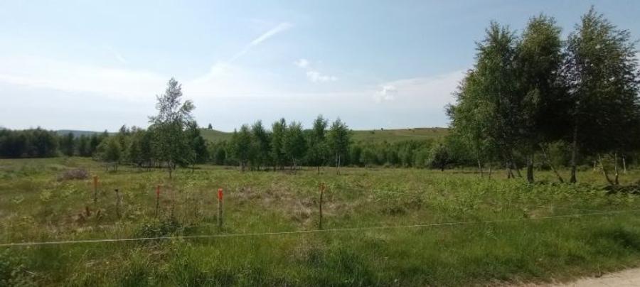 Vand teren pentru constructie casa in zona Casele Micesti - 8