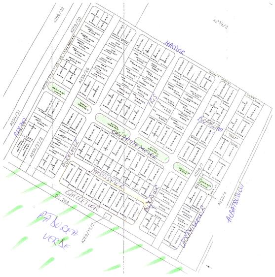 Padure,895mp,Dumbravita, 90.000E - 1