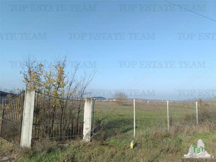 Super teren intravilan (Lot 1) la DJ 101, loc. Gruiu IF, ideal pentru dezvoltatori imobiliari pentr - 6