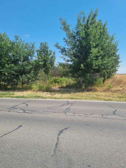 Teren 5000 m intravilan - 1