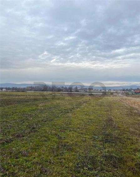 RECO Teren intravilan cu PUZ in Osorhei - 9