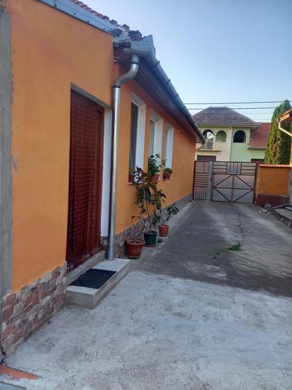 Vand casa Ioanis jud. Bihor, com Finis - 5