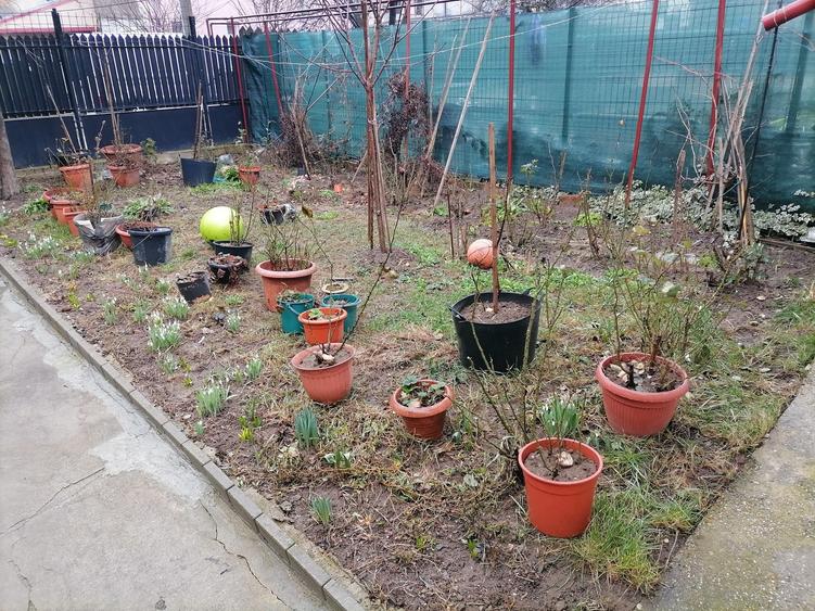 Casă  in  Vatra Nouă , Nordul Bucureștiului - 1