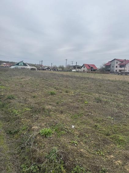 Teren intravilan 500 mp, Bascov - 2