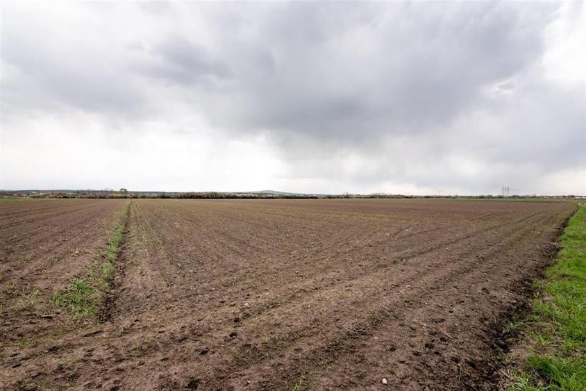 RECO . TEREN INTRAVILAN OSORHEI - 9