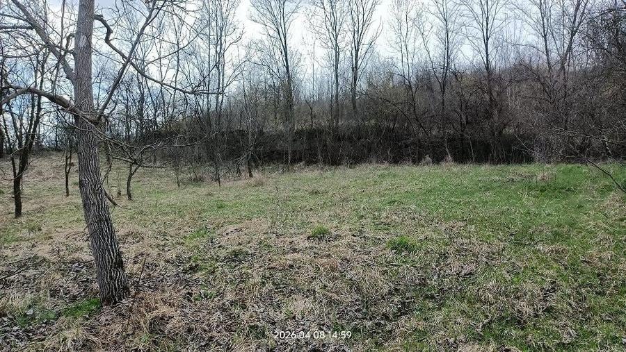 Vand casa Bozioru teren 3600 mp - 5