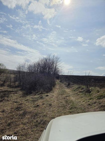 Teren de vanzare Pata Cluj - 3