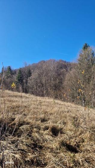 Teren Campul lui Neag Valea Parosenilor - 1