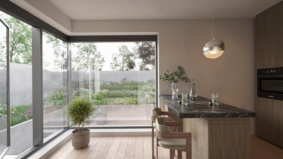 Casă cu arhitectura contemporana în Bucureștii Noi – 2 apartamente independente - 3