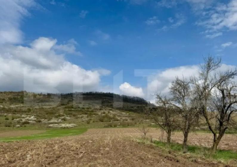 Teren intravilan de vanzare, 1500 mp, zona ?oimu? - 3