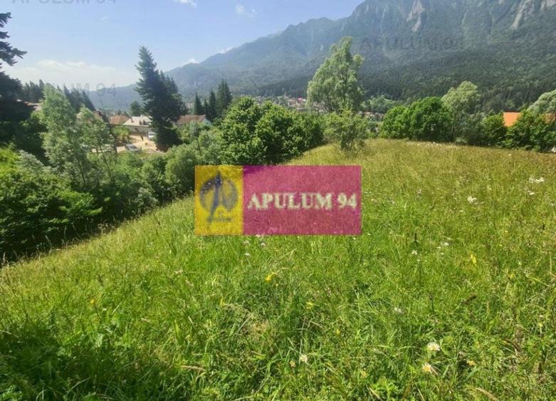 Teren de v&acirc;nzare &icirc;n Bușteni - Zona Zamora - 13