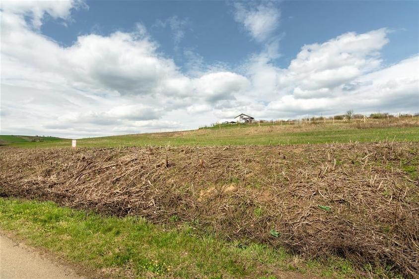 Teren intravilan Cetariu - 4