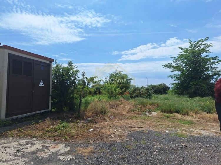 LOTURI TEREN INTRAVILAN-650 MP-DN 4