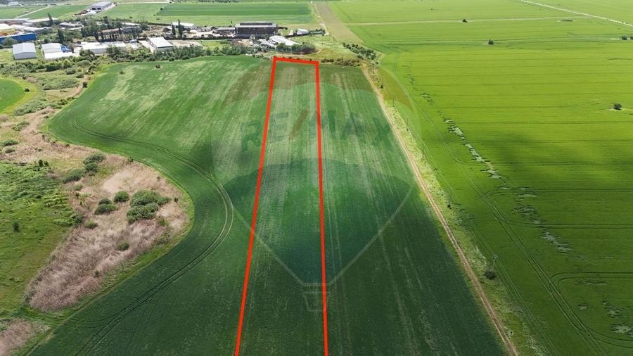 Teren de vanzare Chitila / loturi de casa/ Investitie / intravilan - 2