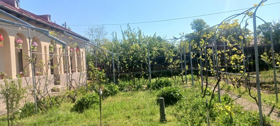 Casa de vanzare Comuna Viisoara-Judetul Teleorman - 17
