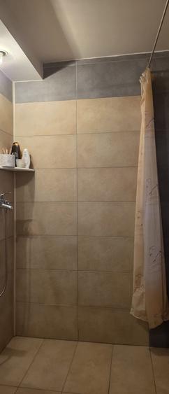 Vila de vanzare cu teren generos zona Ciolpani - 33