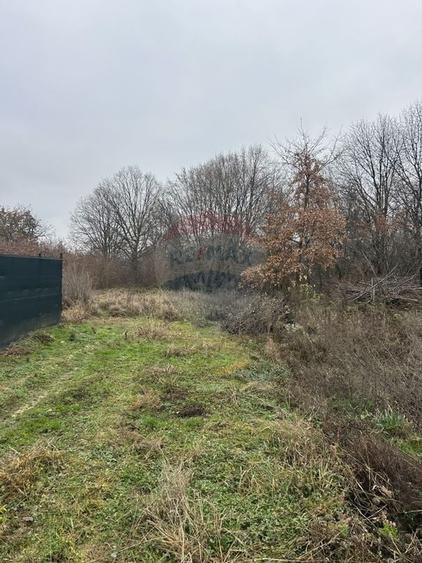 Teren 1,200mp si 400m2 cota drum Satu Nou de Jos / Strada Principala - 6