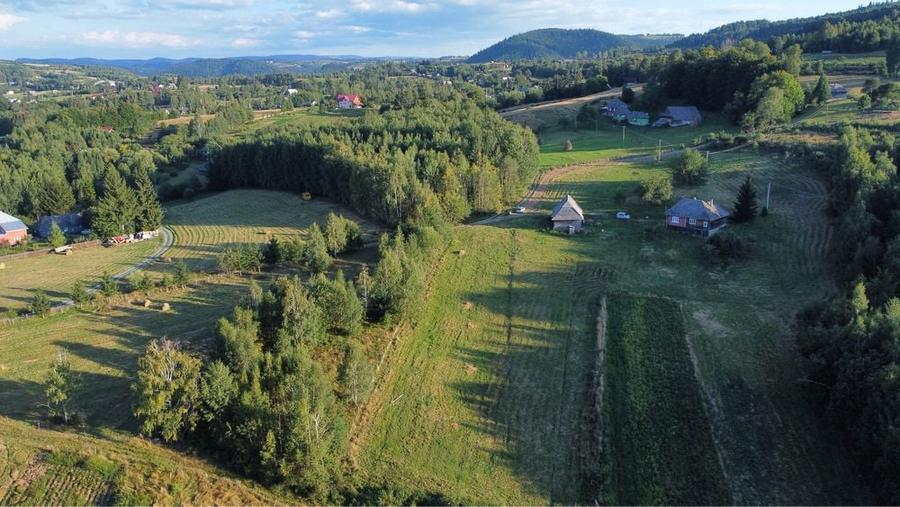 Vand teren cu casa 4ha - 2