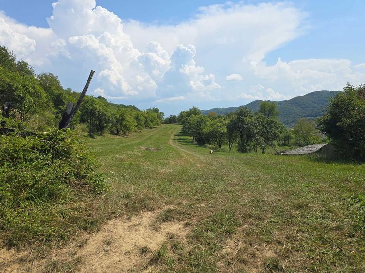 Vand parcele de teren - 4