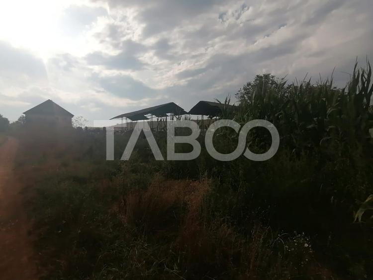 Teren de vanzare 18.844 mp zona Turnisor Sibiu - 4