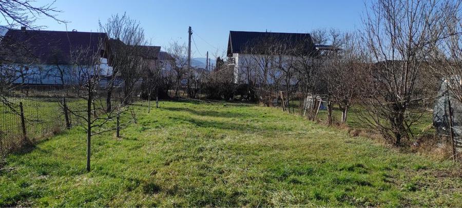 Casa Dobrogeanu Gherea - 3