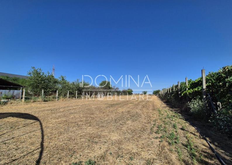 Casa cu teren impresionant in Targu Jiu - 9