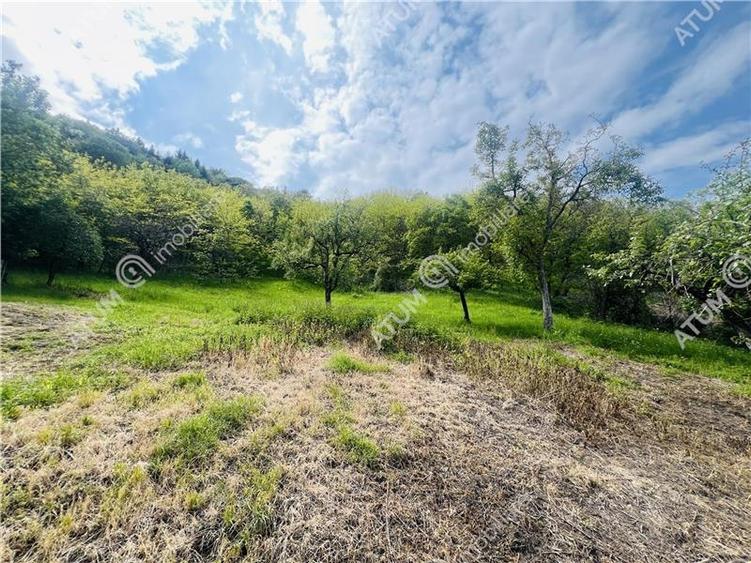 Teren intravilan de 1811 mp situat in Sibiel judetul Sibiu - 5