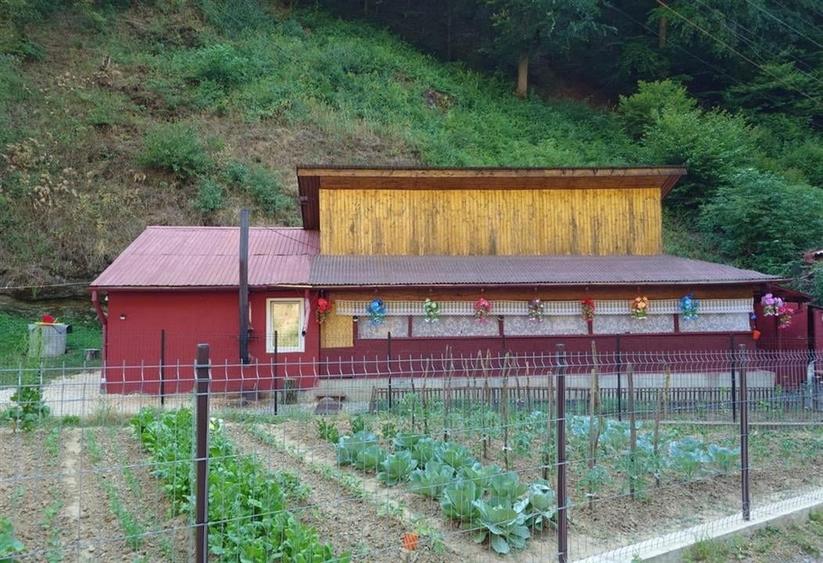 Casa renovata cu acces usor, langa padure - 12