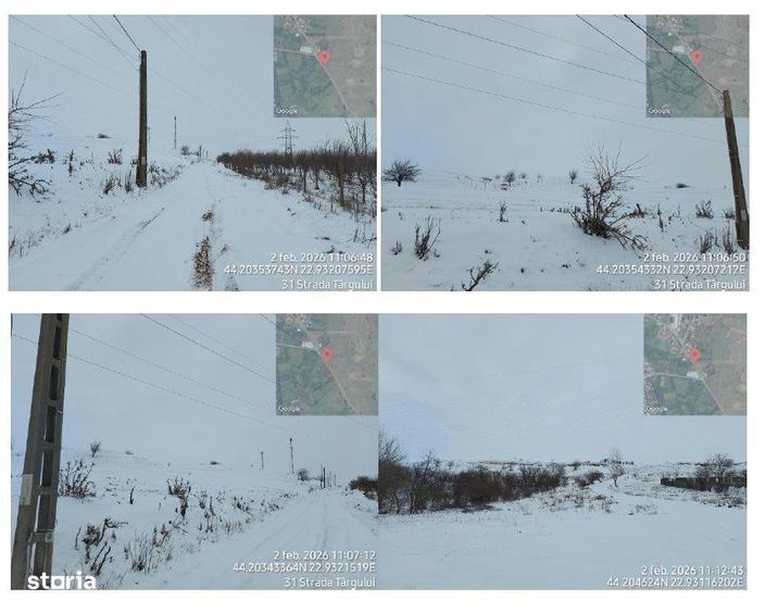 Teren de 10000 mp, în Plenița