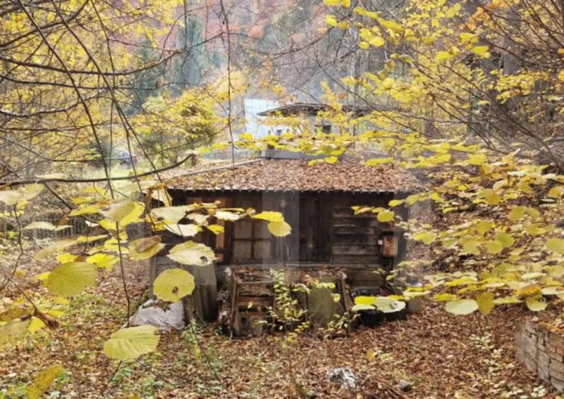 Teren extravilan 1200 mp, cu cabana, Tarnita, iesire la lac! - 4