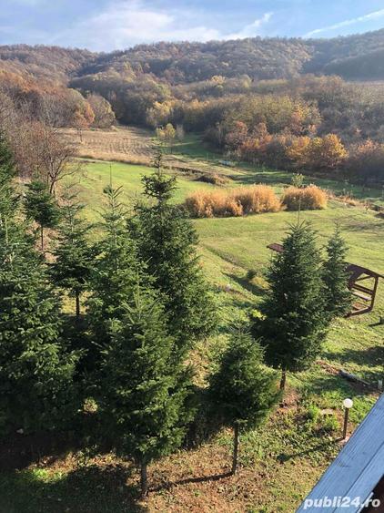 cabana de inchiriat 20 locuri - 3