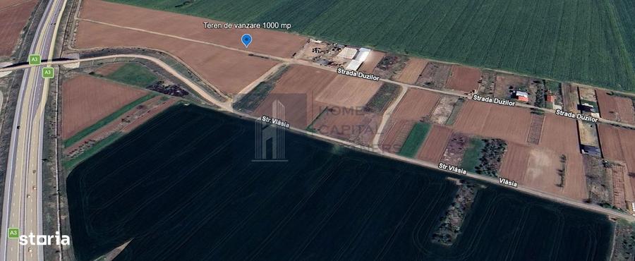 Teren de vanzare Moara Vlasiei - 5