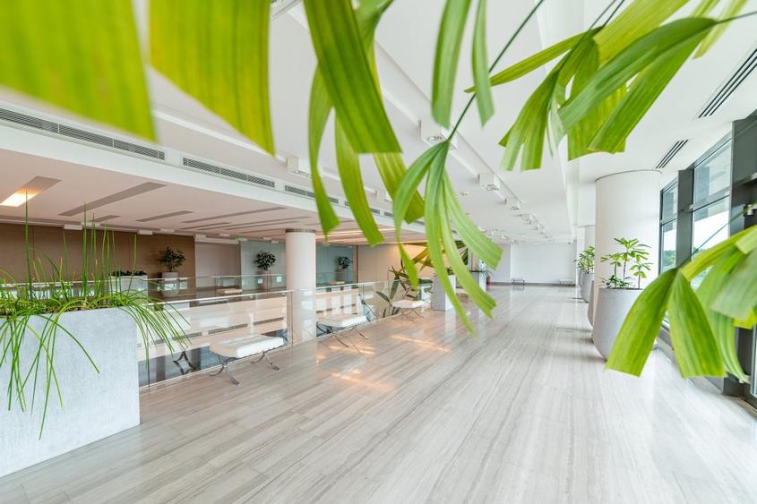 Inchiriere spatiu showroom in Platinum Business & Convention Center - Baneasa - 7