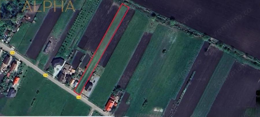 Teren intravilan de vanzare - Chintelnic, Jud. Bistrita-Nasaud - 2