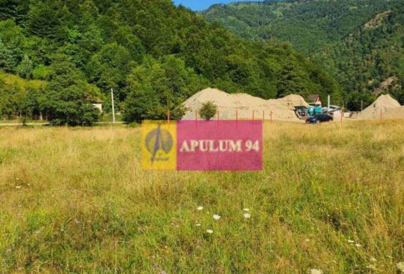 Teren Jude?ul Valcea - Brezoi, Valea lui Stan - 10