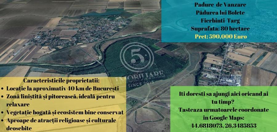 Pădure de vânzare - Pădurea lui Bolete, Fierbinți-Târg - 1