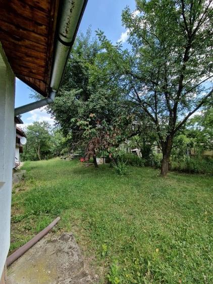 Balilesti - Stradal, casa spatioasa, 4600 mp teren intravilan - curte spatioasa - 22