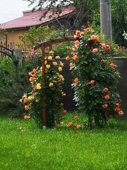 Comision 0% Casa Individuala Buftea P+M Palatul Stirbey Calul Balan Teren 1000mp - 40