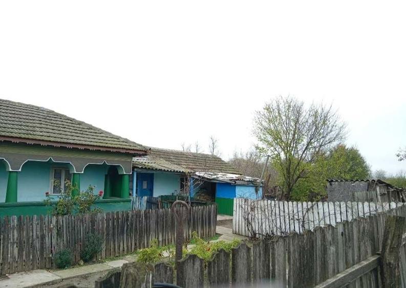 Casa traditionala si teren generos Facaeni, Ialomita - 6