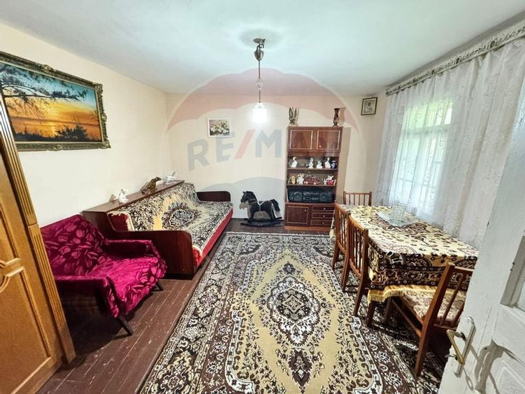 Casă traditionala cu potential de vânzare-HEMEIUS - 15