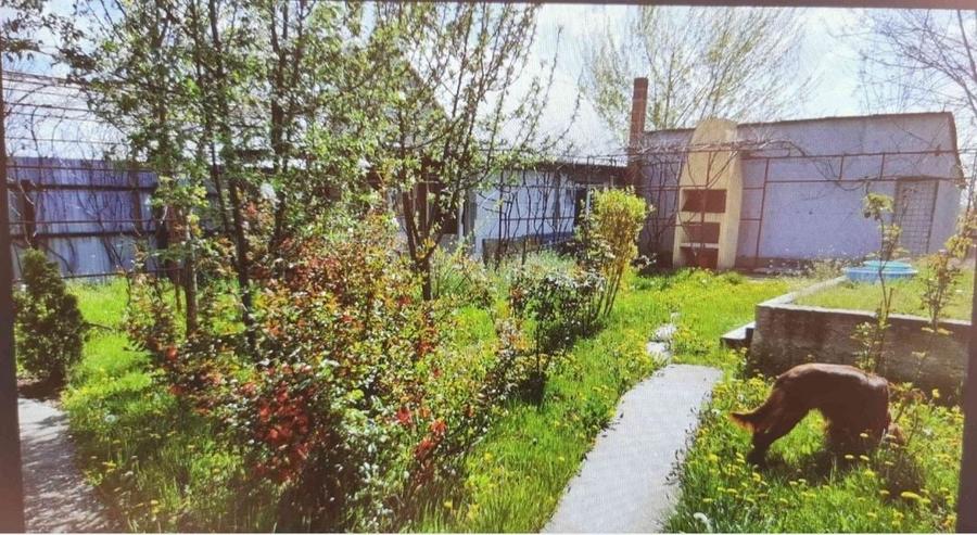 Teren 15 km de Bucuresti 2 constructii, fundatie 90mp, put apa, fosa.. - 1