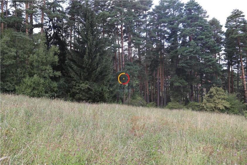 teren intravilan cu PUZ si PUD 2 loturi - 6