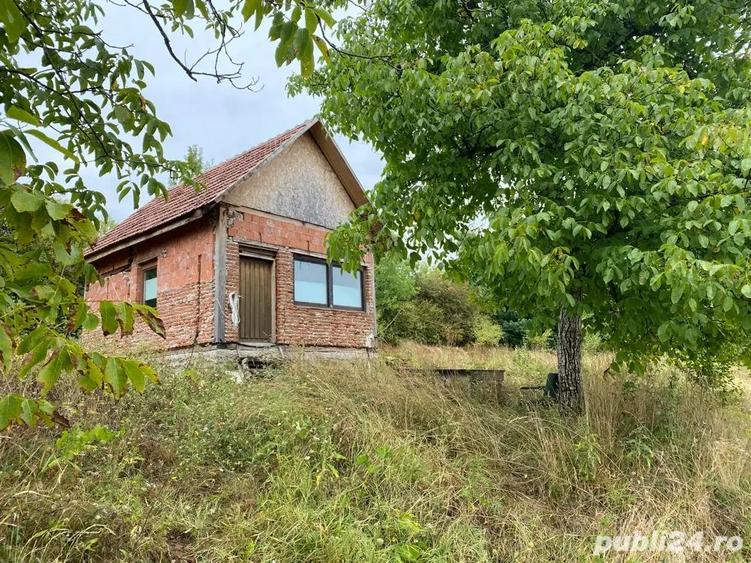 casa de vacanta 60km de Timisoara - 4
