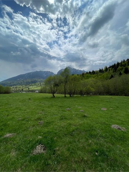 Teren de 3981 mp, în Plaiul Foii