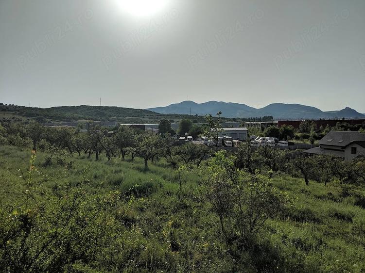 Teren de 10000 mp, în Central