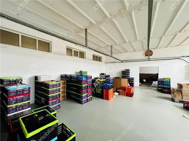 Spatiu industrial cu 2 hale si anexe teren 2543 in Hamba judetul Sibiu - 8